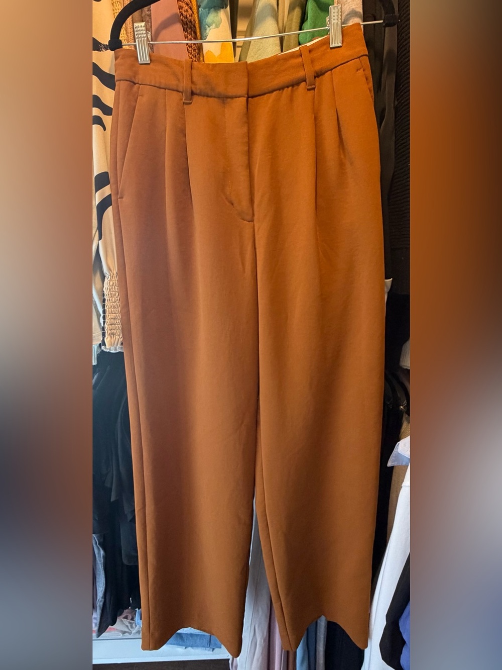Wilfred Aritzia Rust Terracotta Tailored Wide Leg Pants Size 8
